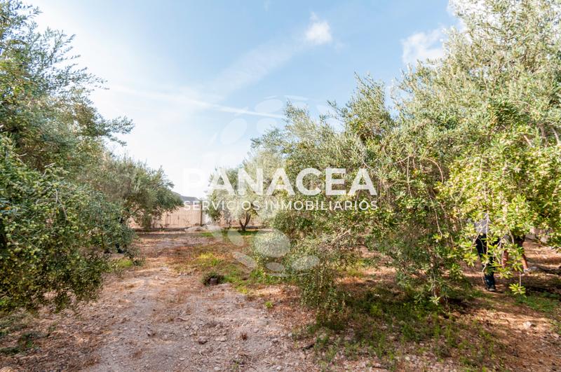 Foto cc7a8df4-f5d0-45b5-bd5a-98a156c2636a. Masía finca rústica en venta en Vícar pueblo Vícar