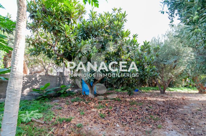 Foto e5b49200-3206-4212-a91d-872dcc4952fb. Masía finca rústica en venta en Vícar pueblo Vícar