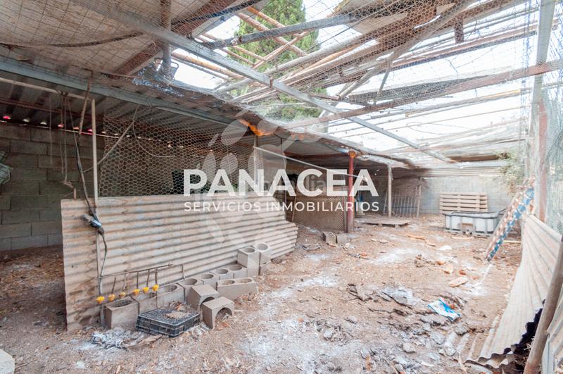 Foto efdd0613-e588-43d1-8262-32127af9af6c. Masía finca rústica en venta en Vícar pueblo Vícar