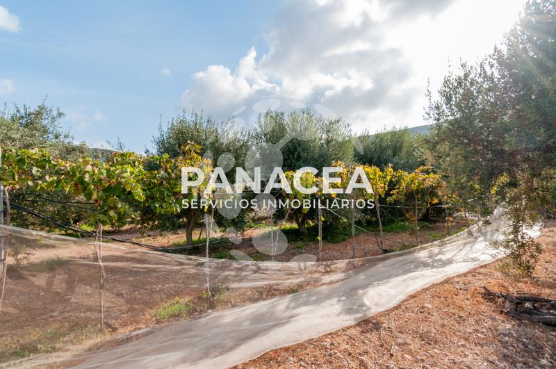 Foto f5aab1d9-d4e3-4055-b4de-f506270dd121. Masía finca rústica en venta en Vícar pueblo Vícar