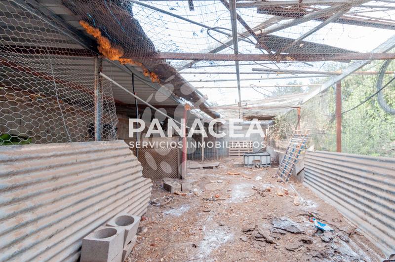 Foto fa9cec14-86b4-41d5-8675-bf5ceecaaa81. Masía finca rústica en venta en Vícar pueblo Vícar