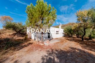 Masia a Fondón. Finca rústica en venta en fondón