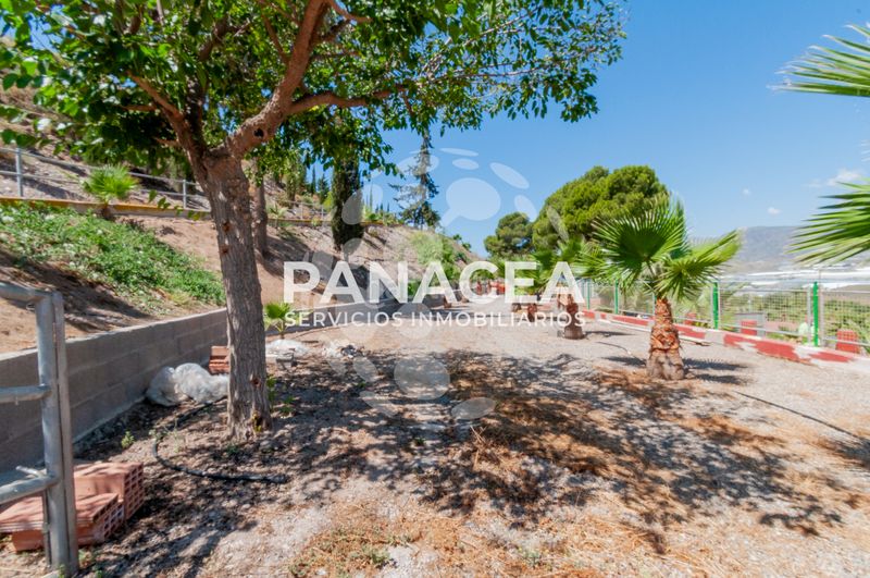 Foto 038cfc87-2bcf-429d-8e87-331ca968bb18. Finca rústica  en venta en Berja