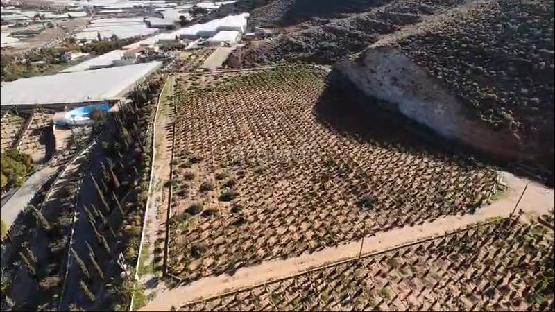 Foto 425ab45d-1a19-4f56-92d7-c27db96e8f35. Finca rústica  en venta en Berja