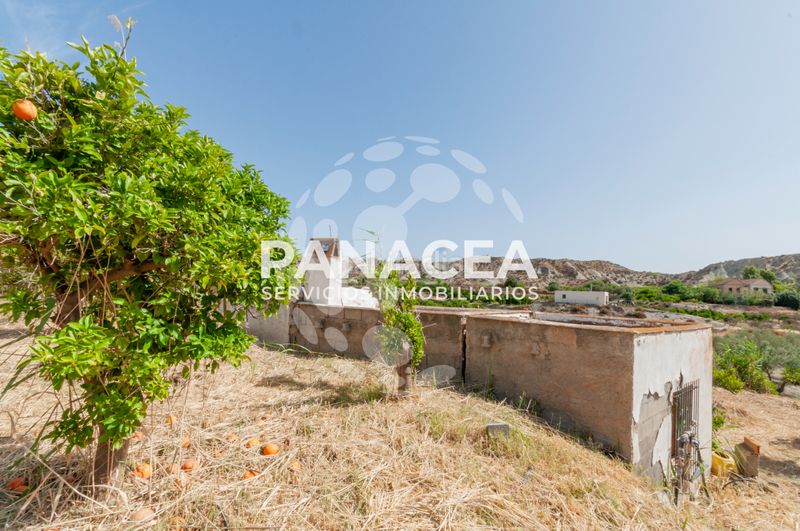 Foto 0488cebf-08c7-4c66-b395-e09a5ace80a7. Finca rústica a Bentarique