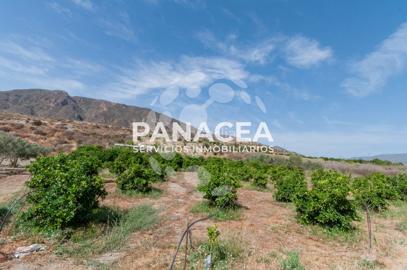 Foto 1d90b0ba-e738-4e0f-8811-3af6ce59b9c6. Finca rústica a Bentarique