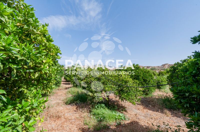 Foto 25e150c6-2be4-4da0-8668-7a957fe6f5bc. Finca rústica a Bentarique