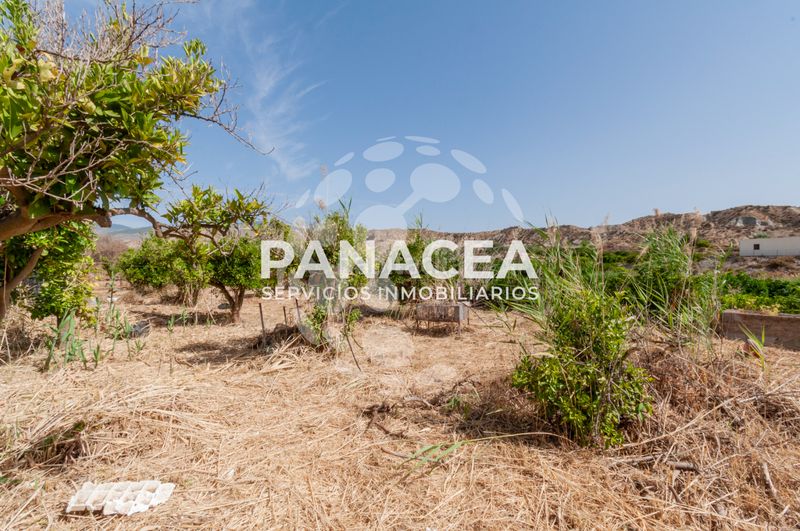 Foto a190cfe7-2335-499c-a067-07f25f3acf09. Finca rústica a Bentarique