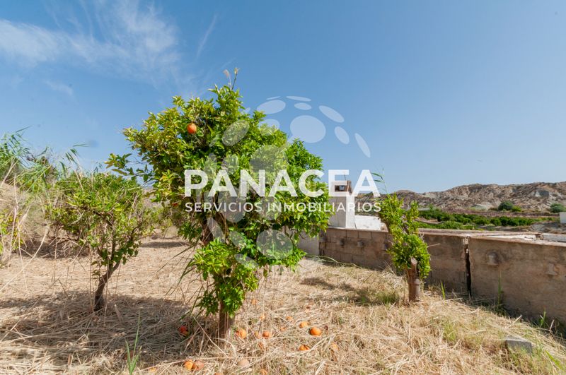 Foto ab3d8ef8-429c-4a07-96e8-5bfc81b1757a. Finca rústica a Bentarique