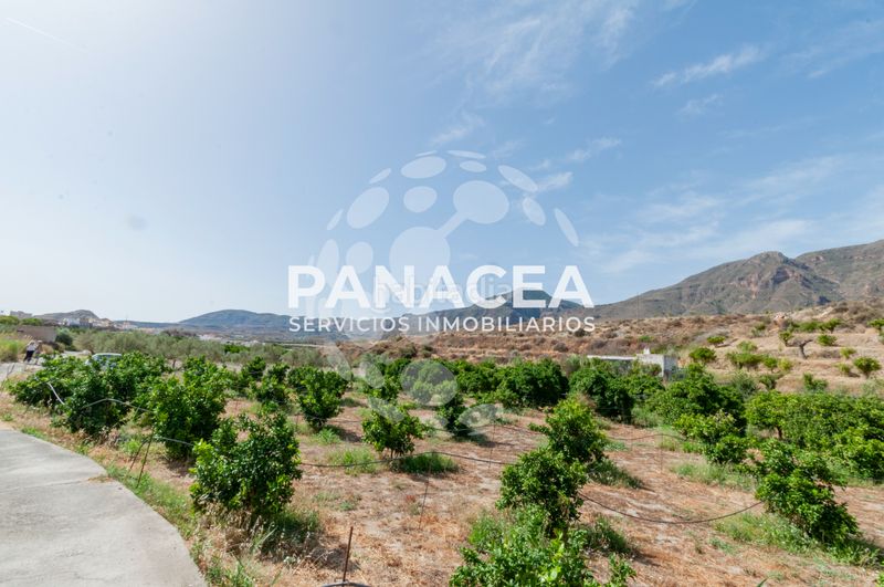 Foto ae80945c-bfef-4960-a056-32180e9e2bd8. Finca rústica a Bentarique