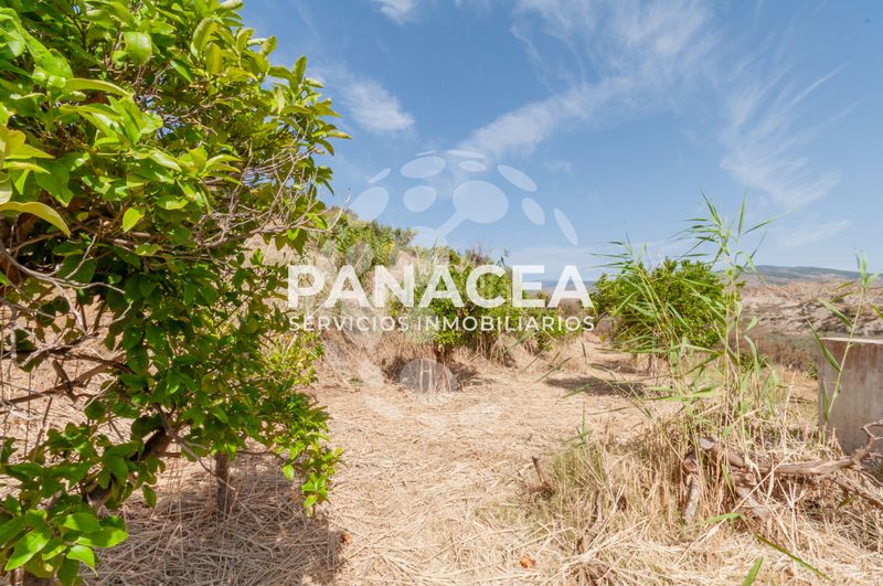 Foto c4b7ec78-ae8d-4e44-be6d-4616ab6b95ce. Finca rústica a Bentarique