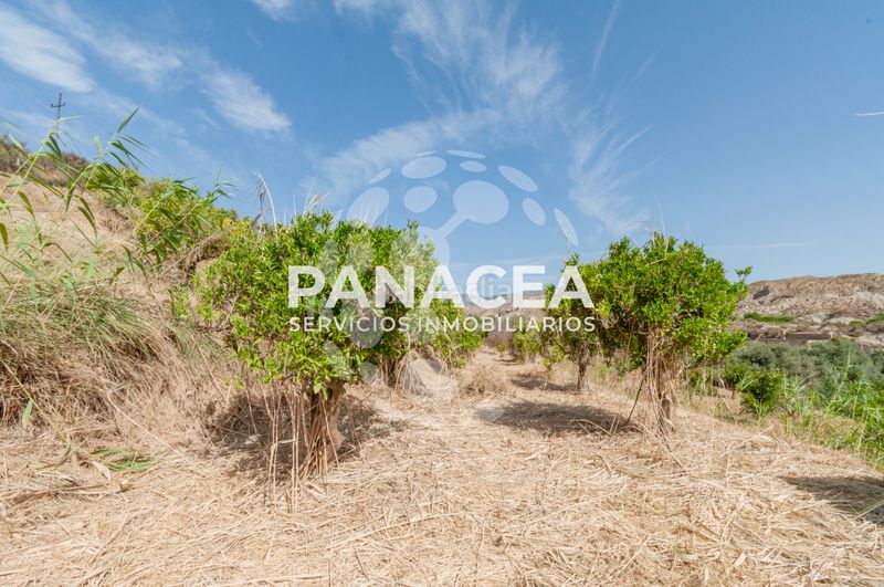 Foto d217bb7a-3550-4baf-8a69-51fd12c0546d. Finca rústica a Bentarique