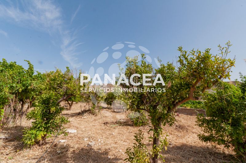 Foto dd8e7fba-cdb2-43de-a2d8-92319eba71b2. Finca rústica a Bentarique