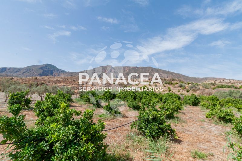 Foto f0cd42eb-5f89-4dcf-a1d7-46b3c53cc8e0. Finca rústica a Bentarique