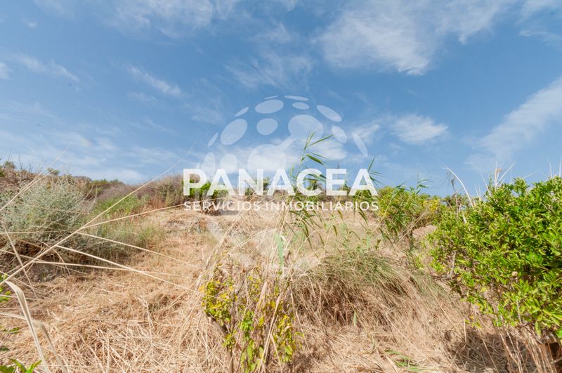 Foto fae6bfef-414b-4d1e-a4c2-61f31485de4c. Finca rústica a Bentarique