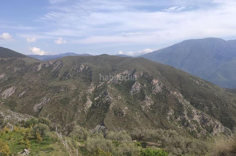 Foto dd985677-64d3-48ef-a81e-9b61b30bdc5a. Pis a Carataunas
