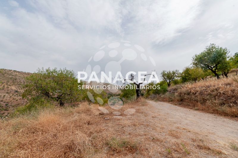 Foto b4f98baa-663c-4b6e-9df9-89e65a8c7078. Casa amb aparcament a Almegíjar