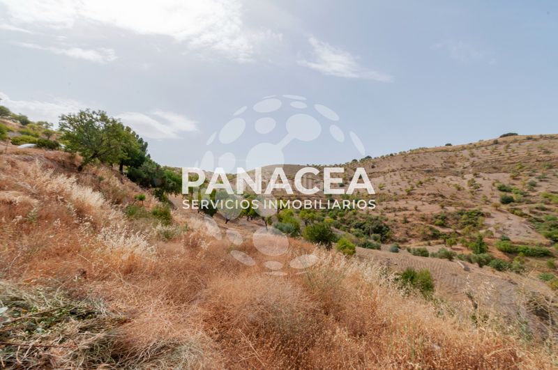 Foto b9e632dc-fb35-4e54-ad1d-77d4d629d851. Casa amb aparcament a Almegíjar