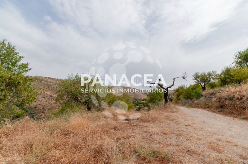 Foto e6d5662c-482b-4486-8d19-1edd848f5430. Casa amb aparcament a Almegíjar