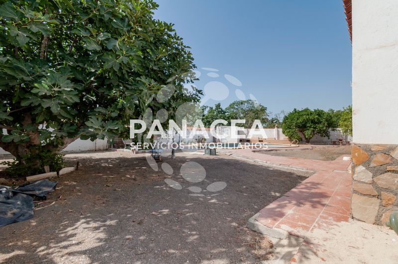 Foto c5d88733-695f-4e93-8172-36573f7b1a5d. Xalet amb aparcament piscina a Pechina