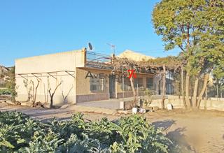 Casa en Los Ángeles - Apolonia. Casa de campo junto a la ciudad con parcela de 5.900m2  ref 258