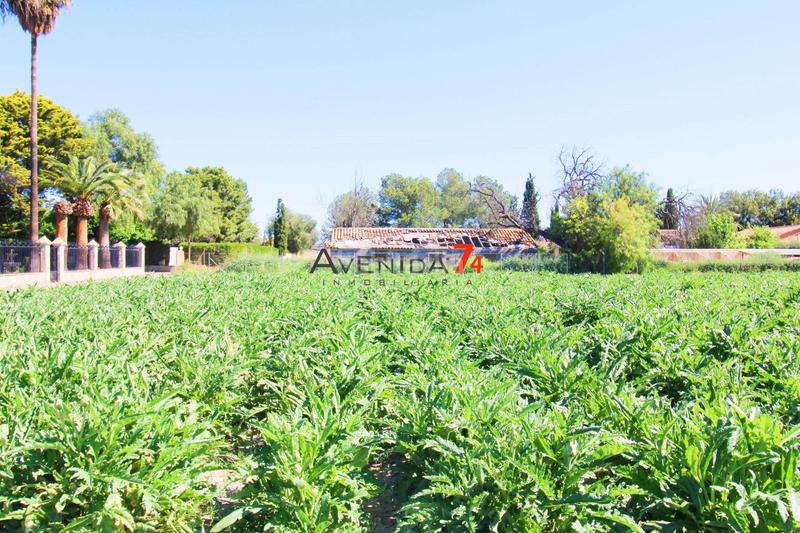 Foto 042e2158-9f29-4168-8529-767d5cddc352. Haus in Santiago Lorca