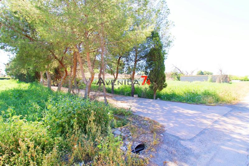 Foto 802461af-b70d-4ad9-a8e3-59dfad65a8a1. Haus in Santiago Lorca