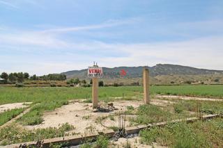Propriété à Corazón de María. Parcela rustica de 20.000 m en la huerta del nublo  ref 305