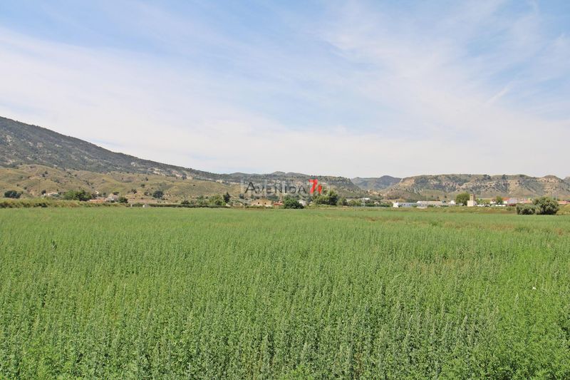 Foto 0e40adb2-b9c2-459a-98d9-bc1b3fdbeb12. Finca rústica a Corazón de María Lorca