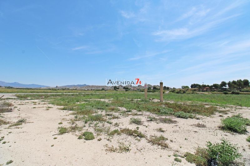Foto 58220c37-c1b7-46a7-82a9-fd7387d471b0. Finca rústica a Corazón de María Lorca
