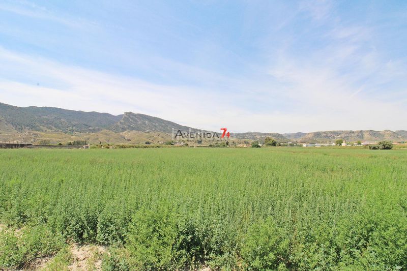 Foto 7b3ec2a6-9345-467d-a84e-eb90edcd18ef. Finca rústica a Corazón de María Lorca