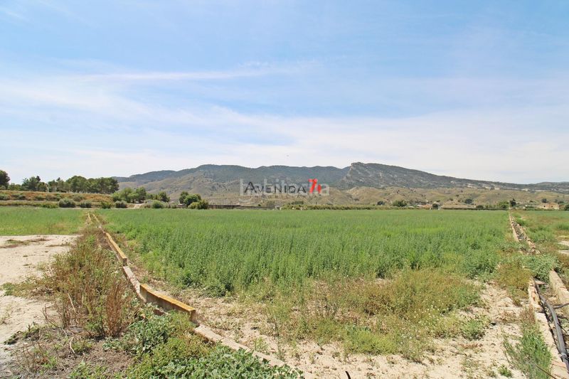 Foto a22b7613-3b42-4fbd-b390-732791f9db8e. Finca rústica a Corazón de María Lorca