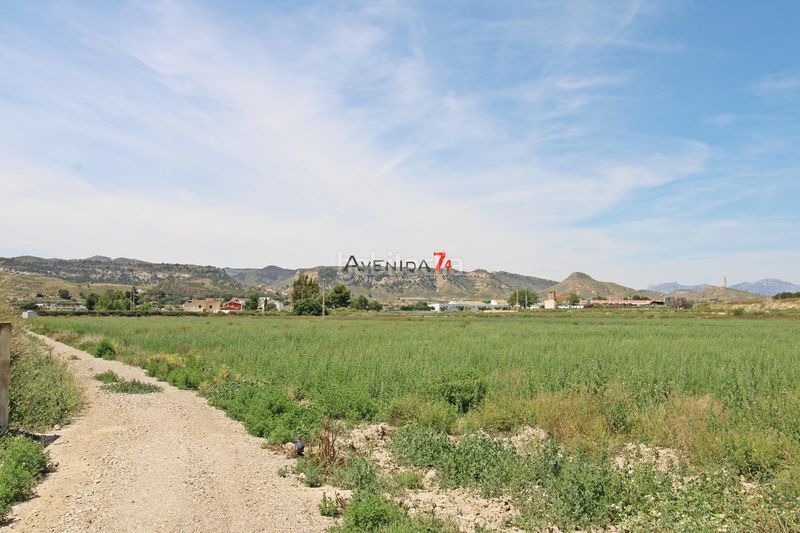 Foto c665f689-9af3-443b-a18d-8095a03c28f4. Finca rústica a Corazón de María Lorca
