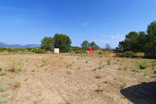 Finca rústica a La Paca. Parcela para vivienda unifamiliar en el hortillo