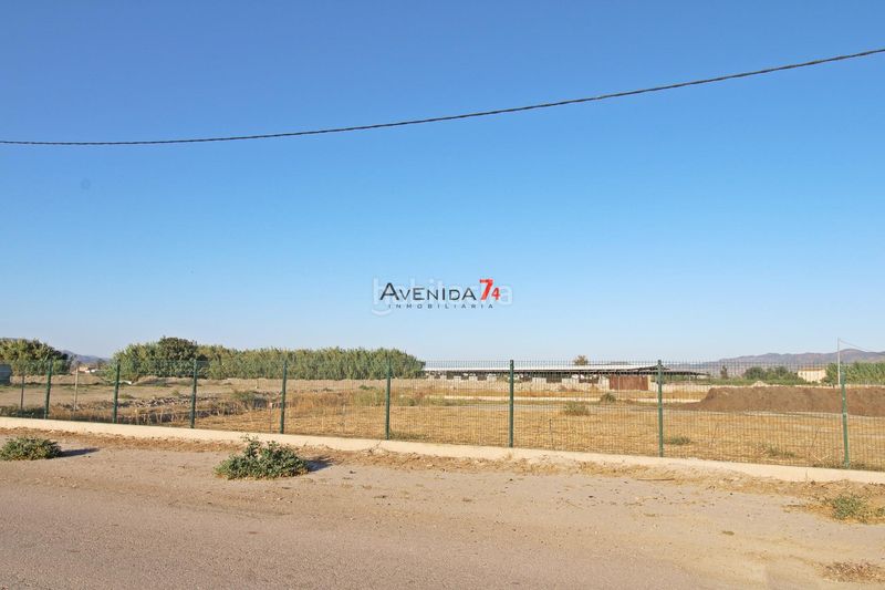 Foto 51369da2-11b2-404c-9491-7d1640c43b06. Finca rústica a Campillo Lorca