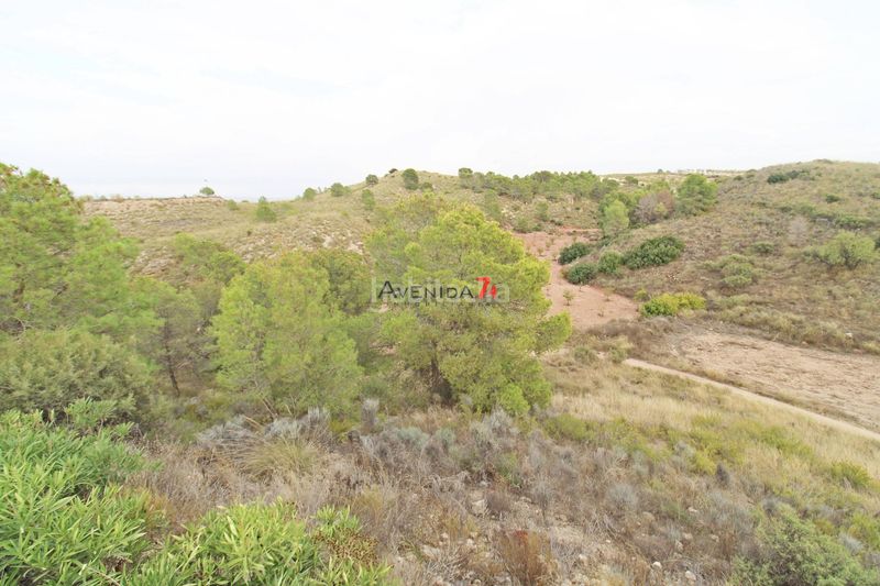 Foto 53b4cb4b-19a1-4e9f-8483-8928e3679255. Fondo rustico in Ortillo Lorca