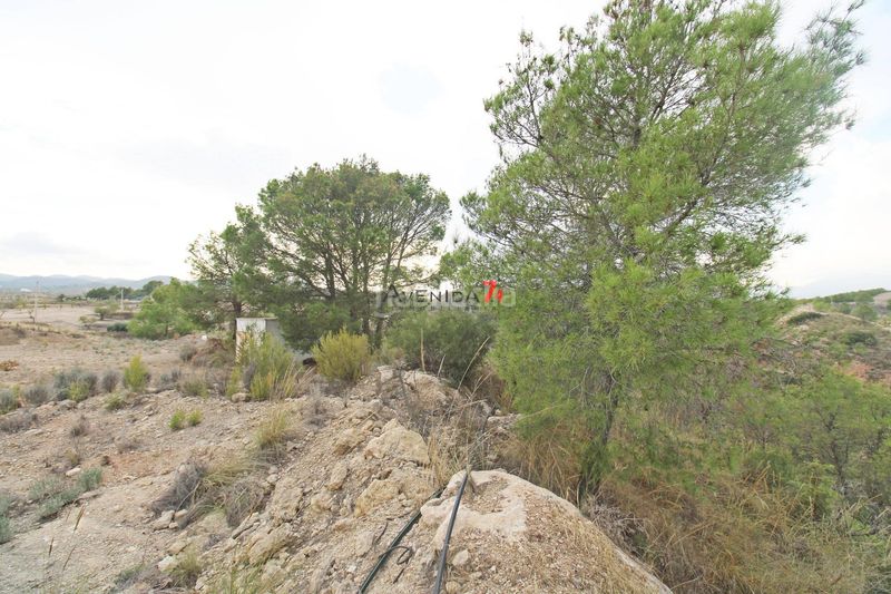 Foto 67d8dbde-658e-45c5-88eb-fbd1fd0926f1. Fondo rustico in Ortillo Lorca
