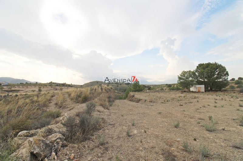 Foto bc5b4dbd-f61a-4d16-a3d0-b16c0f5eb02b. Fondo rustico in Ortillo Lorca