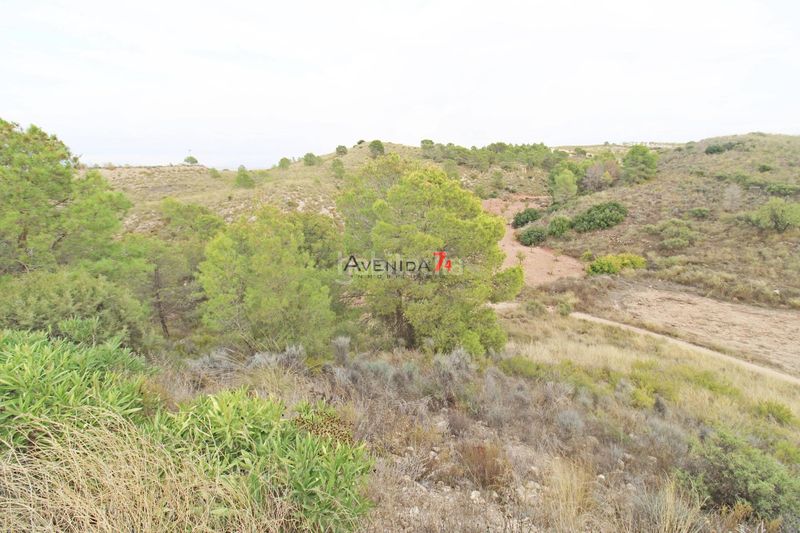 Foto ceced88c-472c-4e05-83b9-302e91a364e2. Fondo rustico in Ortillo Lorca