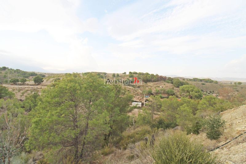 Foto dc7fa4af-846d-4252-bd47-656ea12489ce. Fondo rustico in Ortillo Lorca