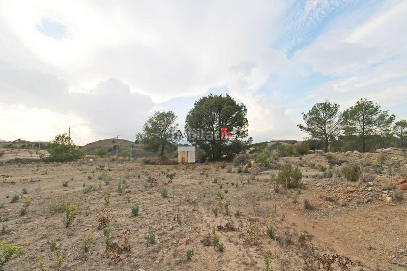 Foto f5ca2b74-290f-4b6c-b58a-d9bb82adb7a3. Fondo rustico in Ortillo Lorca