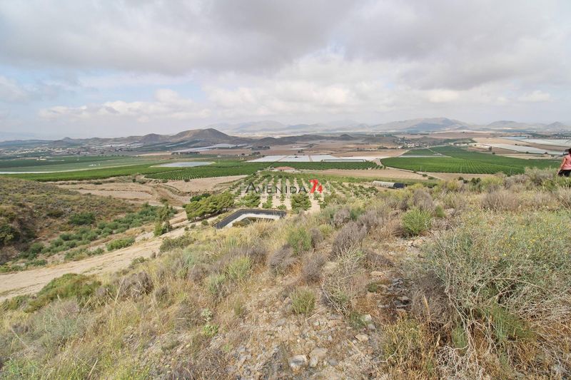 Foto 00c203a5-2579-49b6-b7c9-c52c3d6f164b. Fondo rustico in Escucha Lorca