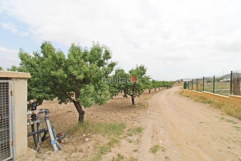 Foto a528e37e-1430-4215-8913-b73b3b95f430. Fondo rustico in Escucha Lorca