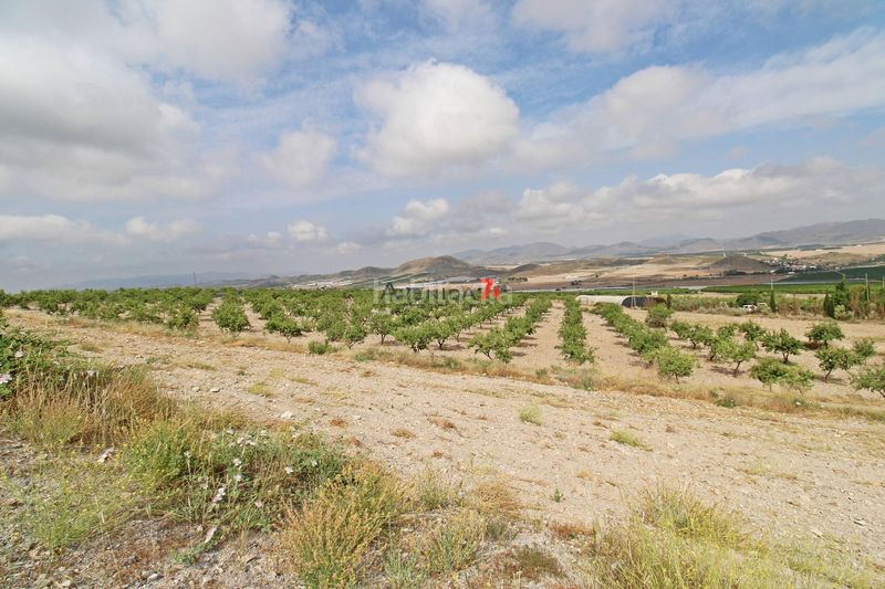 Foto ad68c627-cb4f-49ce-aab5-aa816aa713d8. Fondo rustico in Escucha Lorca