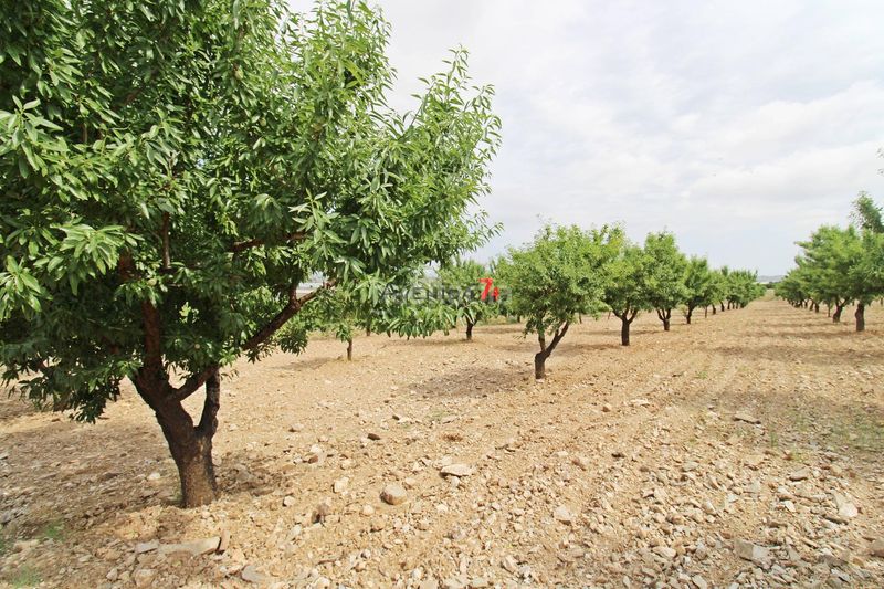 Foto d12222fd-f4c5-497d-9714-ce230e230b72. Fondo rustico in Escucha Lorca