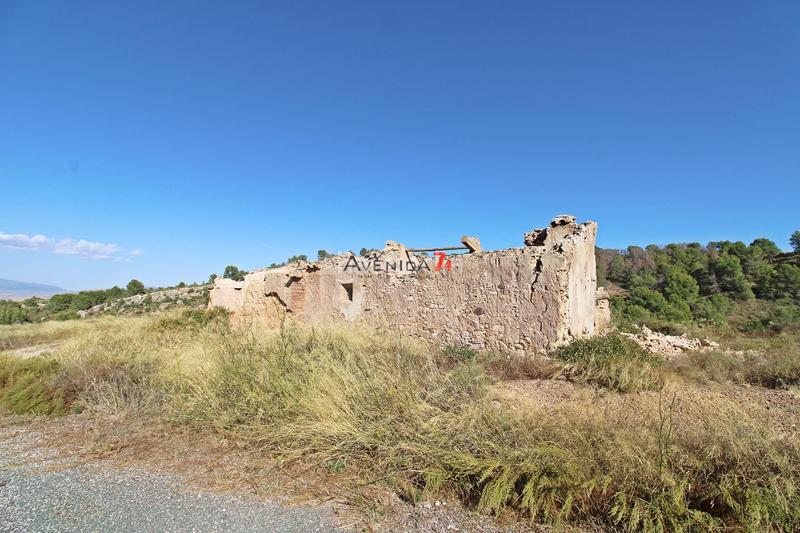 Foto 19cd6bf0-a70e-4682-80b8-aaf731cff1e1. Mas dans Parrilla Lorca