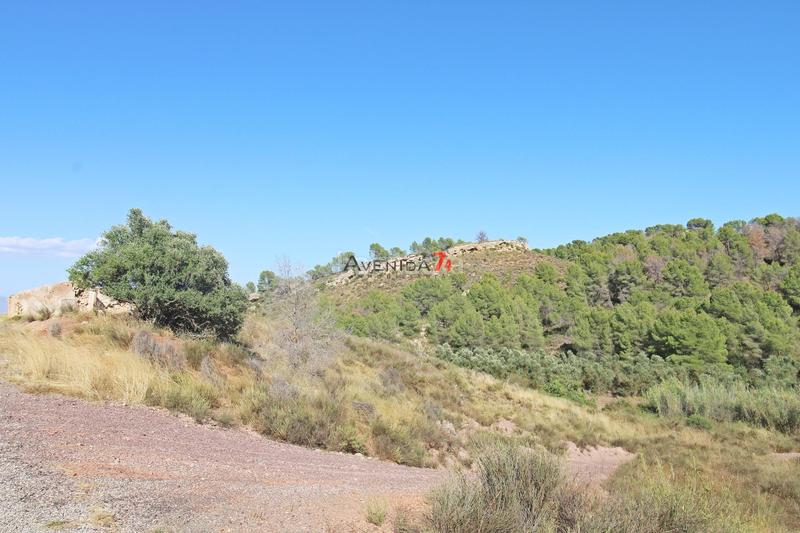 Foto 1ca5a728-877f-4e08-9c44-579f2c3b0522. Mas dans Parrilla Lorca