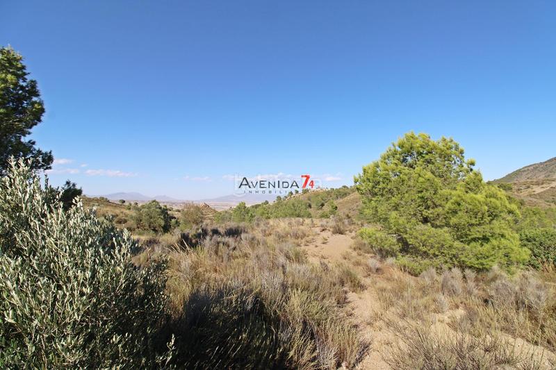 Foto 1d6a144f-87f3-4edd-977e-d3ad1995e33a. Mas dans Parrilla Lorca