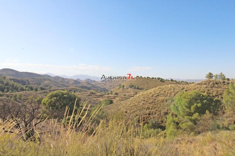 Foto 1f350c12-f1c4-4080-bc9c-6e922aeec7c8. Mas dans Parrilla Lorca