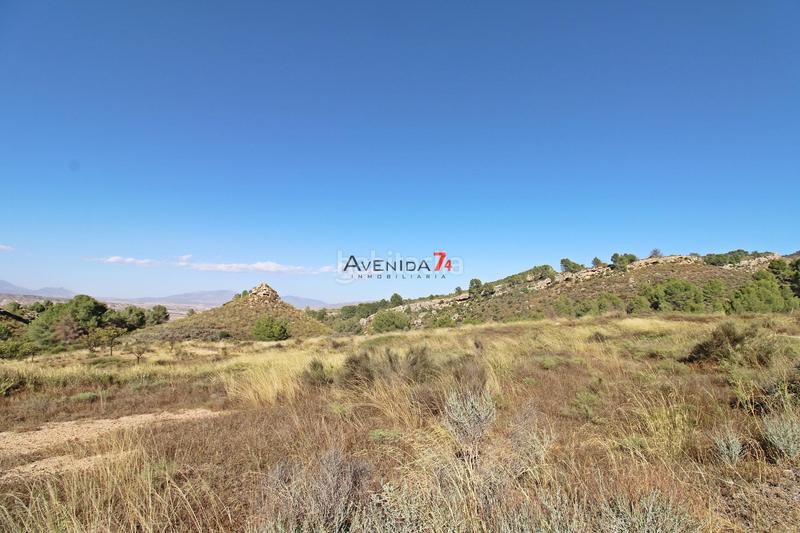 Foto 2e7fb34f-8c5d-4499-b9af-f5993d4f8981. Mas dans Parrilla Lorca